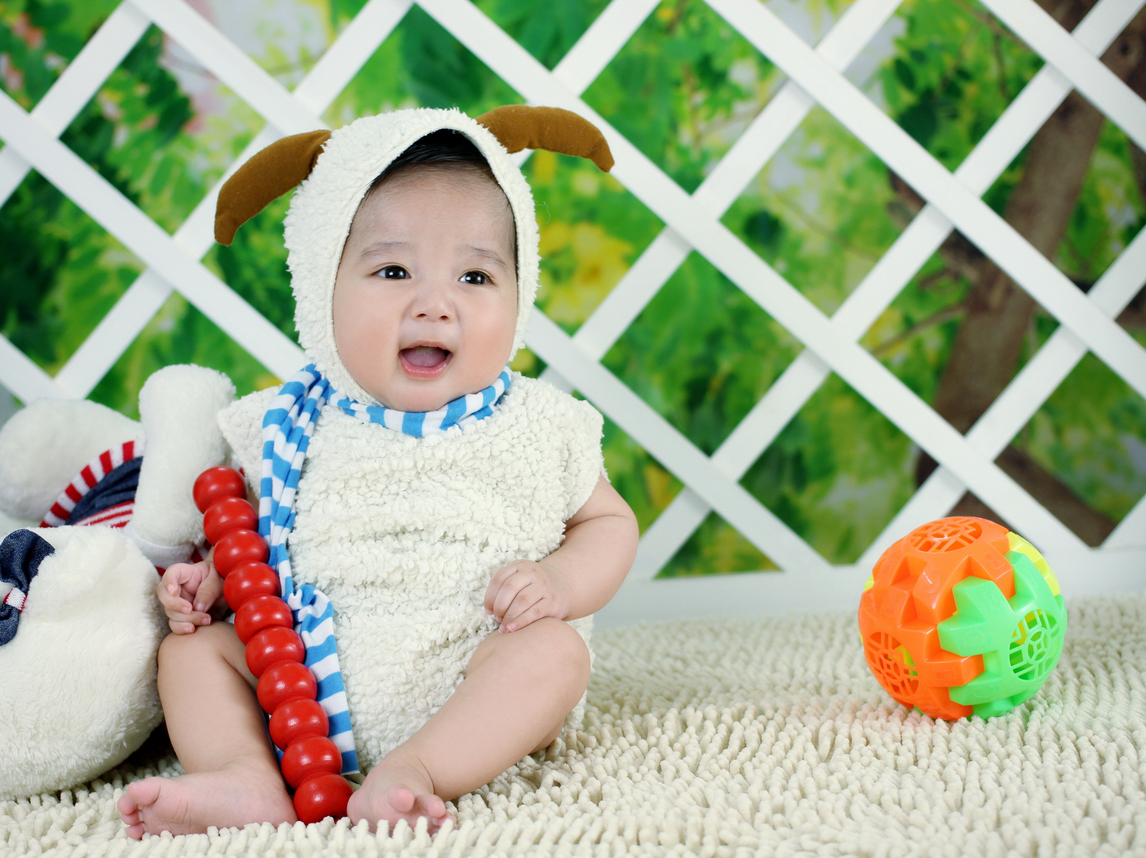 潍坊正规捐卵机构哪家泰国试管婴儿成功率高